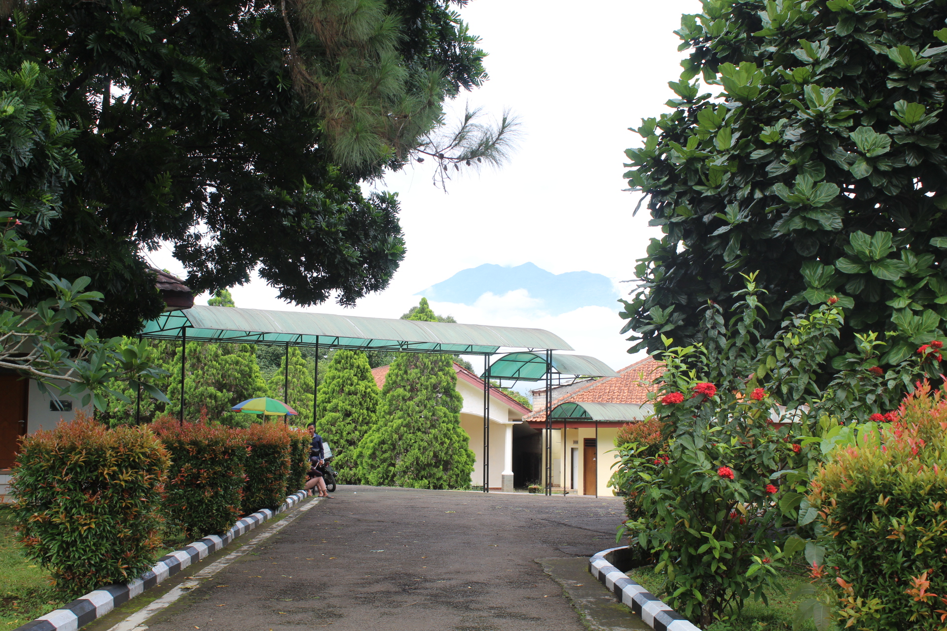 This is a simple description for your image.