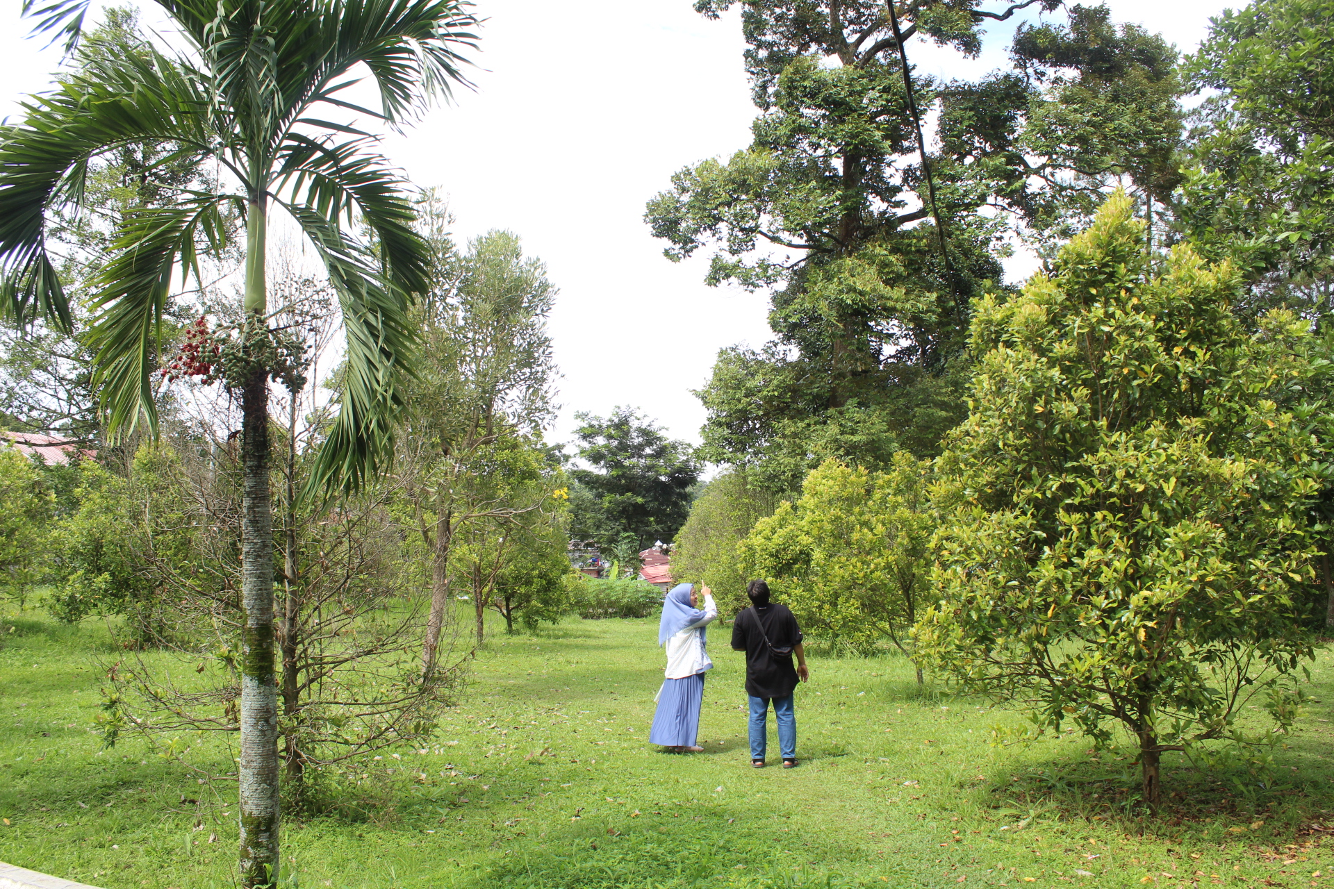 This is a simple description for your image.